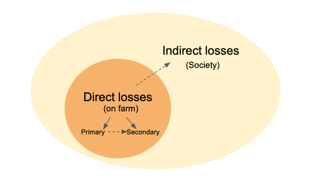 Tipology of losses caused by plant diseases